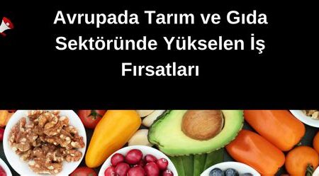 Yükselen İş Fırsatları